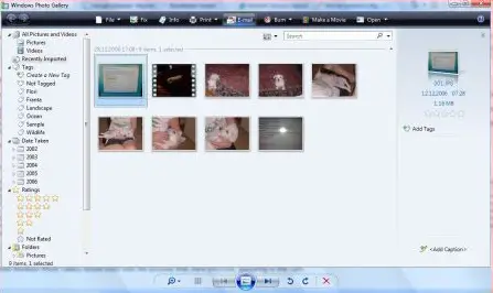 how to download photos from digital camera to pc